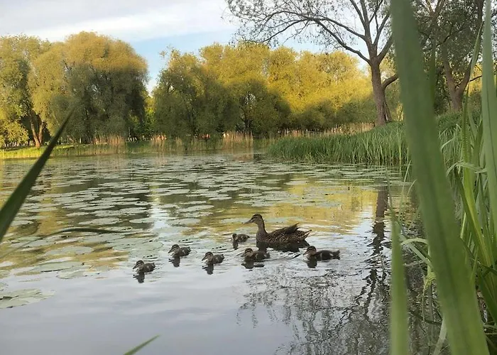 Lakeview Park Apartment, Self Check-in, Free Parking *